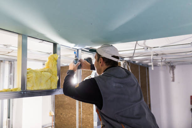 Best Residential Insulation in St Peters, MO
