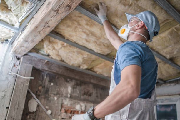 Best Cellulose Insulation in St Peters, MO