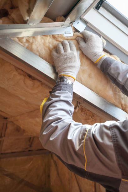 Best Residential Insulation in St Peters, MO